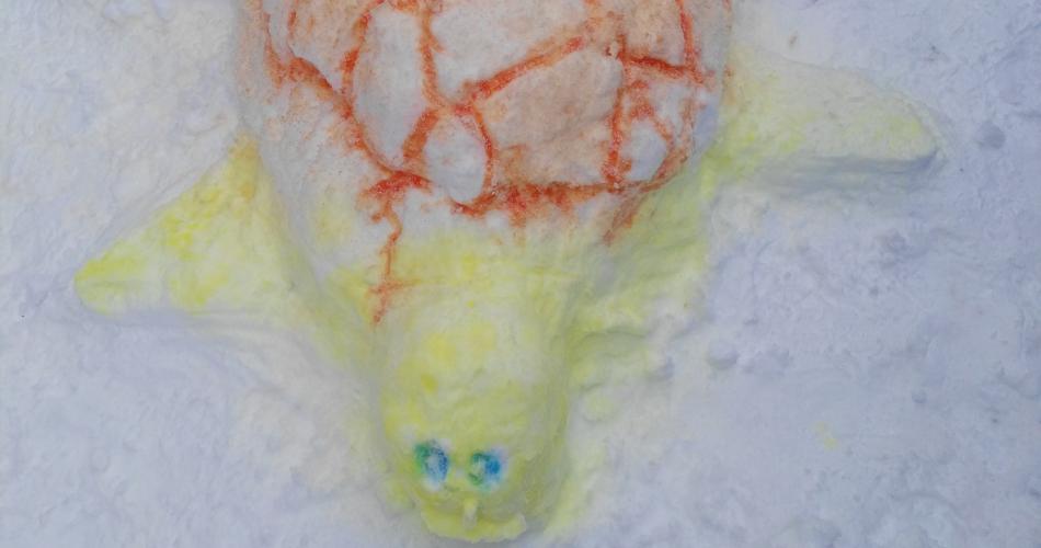 Schildkröte aus Schnee
