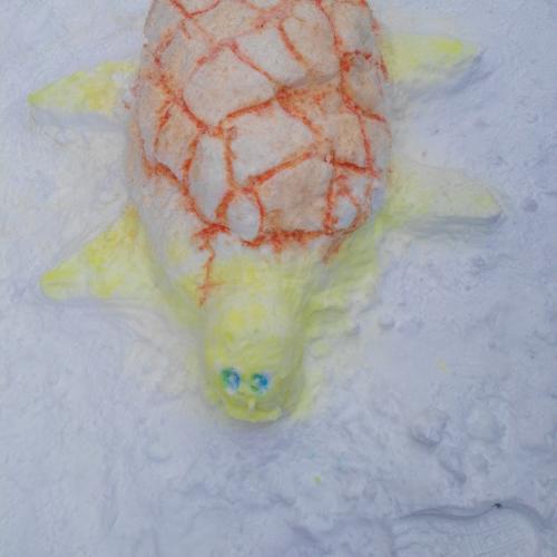 Schildkröte aus Schnee