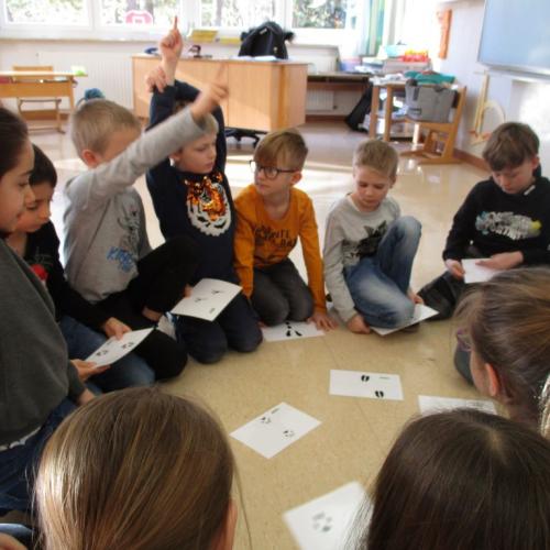 Sitzkreis - Tierspuren zuordnen