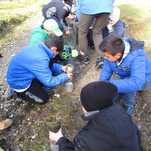 Kinder bauen Wasserfilter im Wald