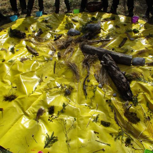 Gesammeltes Naturmaterial