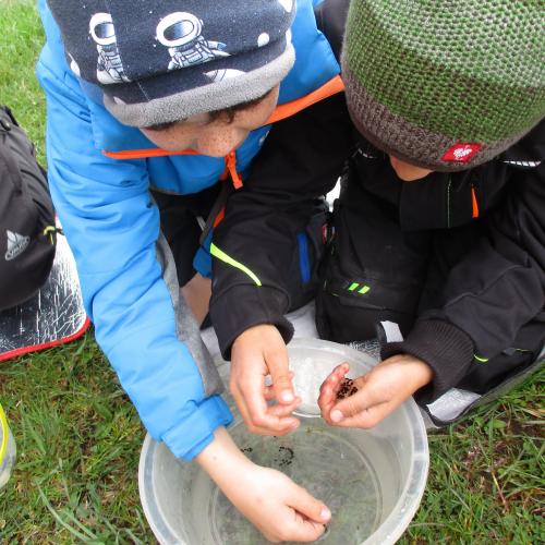Kinder begutachten Froschlaich