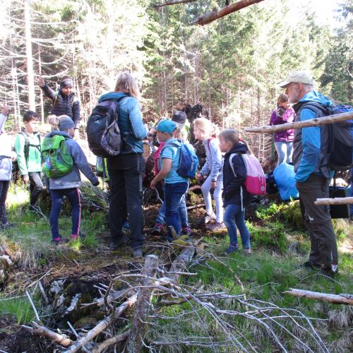 Kindergruppe im Wald
