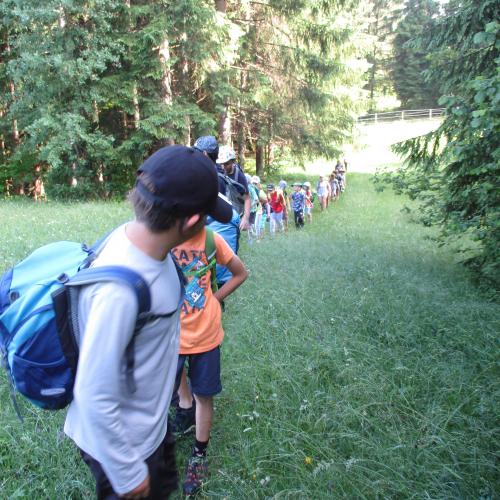 Kinder in einer langen Schlange beim Wandern