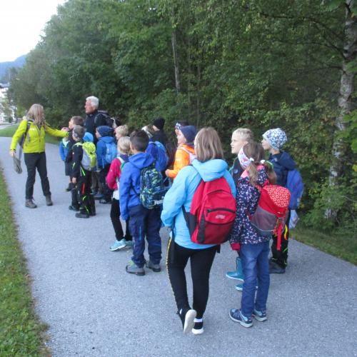 Kinder beim Wandern