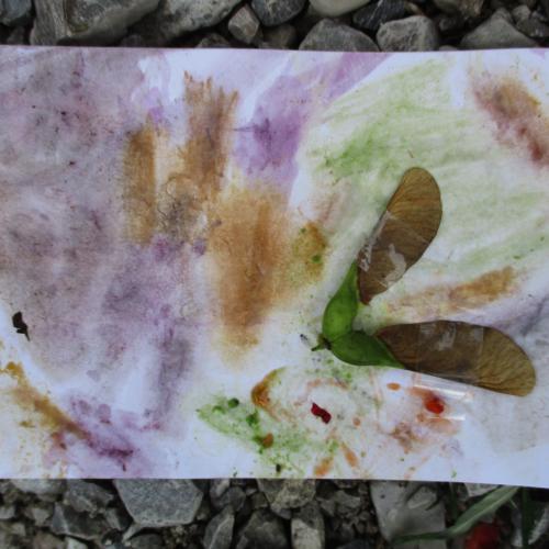 Bild aus Früchten, Samen und Blättern