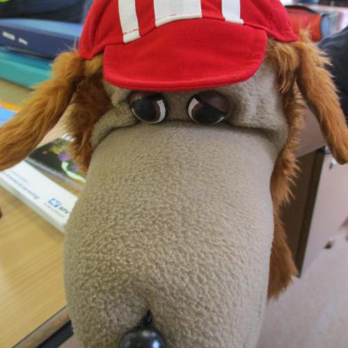 Sokrates (Stoffhund)