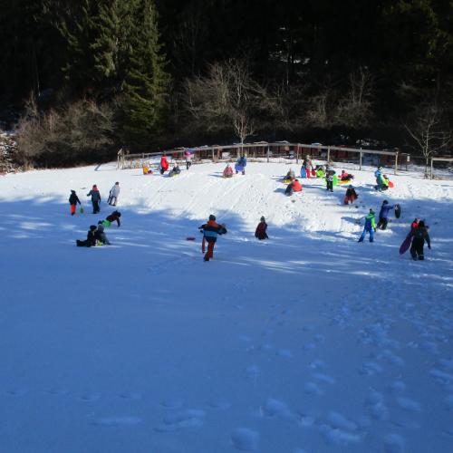 Kinder rutschen am Hügel
