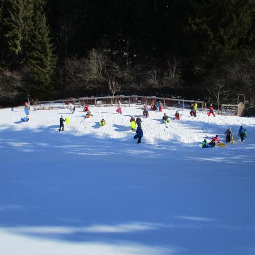 Kinder rutschen am Hügel