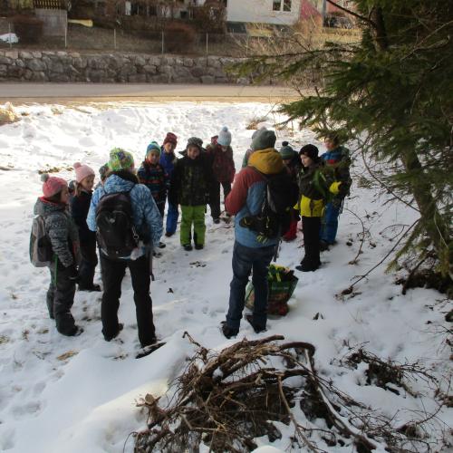 Kinder im Freien bei der Naturführung