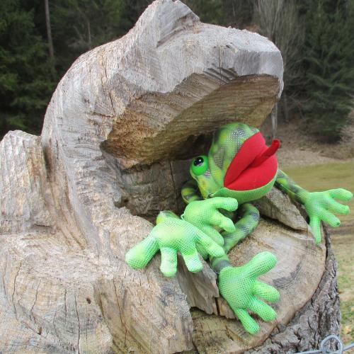 Stofffrosch mit Holzfrosch