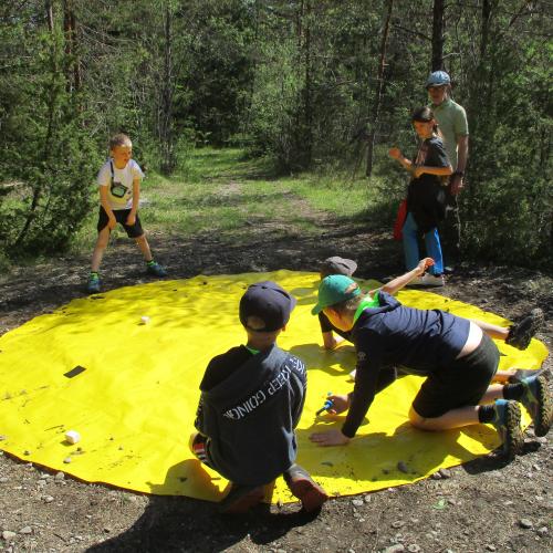 Kinder beim Sammeln von Naturmaterialien