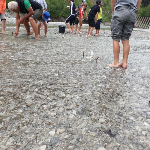 Kinder waten im Wasser