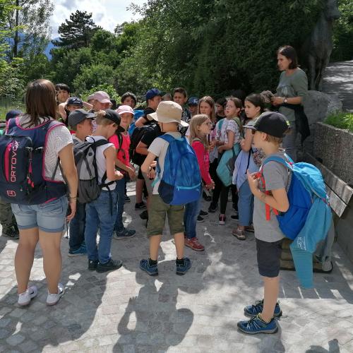 Gruppenfoto im Alpenzoo