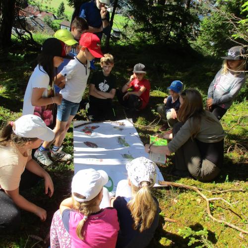 Kinder im Kreis im Freien