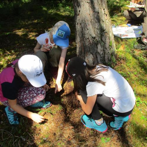 Kinder beim Forschen in der Natur