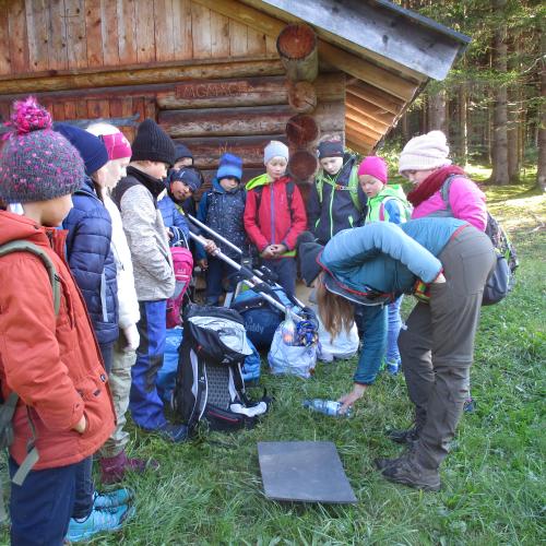 Kinder mit Naturführerin