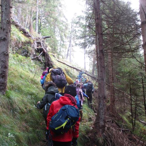 Kinder im Gänsemarsch auf Trampelpfad