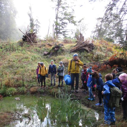 Kinder an einem kleinen Tümpel