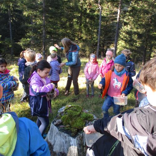 Kinder um einen Baumstamm