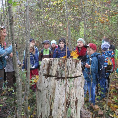 Kinder im Kreis um Baumstamm