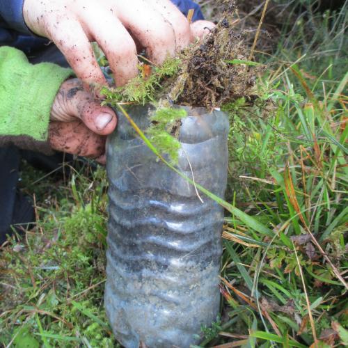 Befüllen einer leeren Plastikflasche mit Gras und Moos