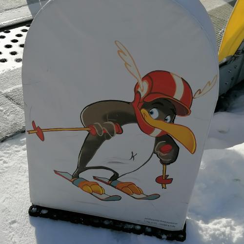 Bild von einem Pinguin der Ski fährt