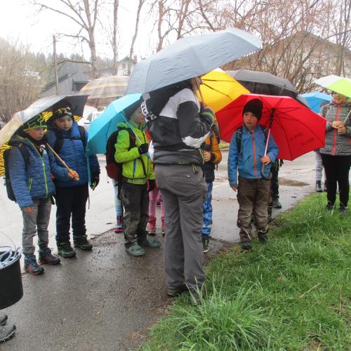 Kinder mit Regenschirmen