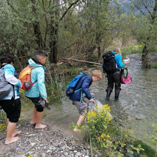 Kinder waten im Wasser