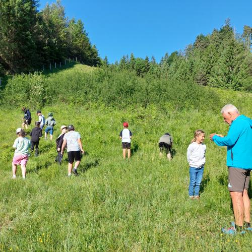 Kinder beim Suchen von Insekten