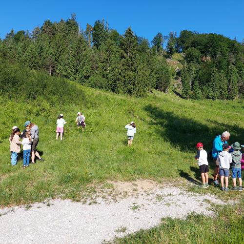 Kinder suchen nach Insekten