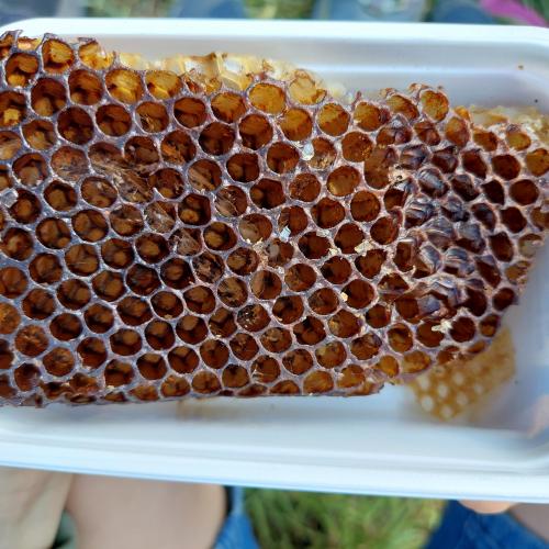 Bienenwaben